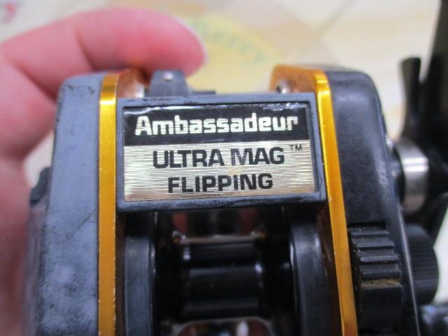 アンバサダーウルトラマグフリッピング