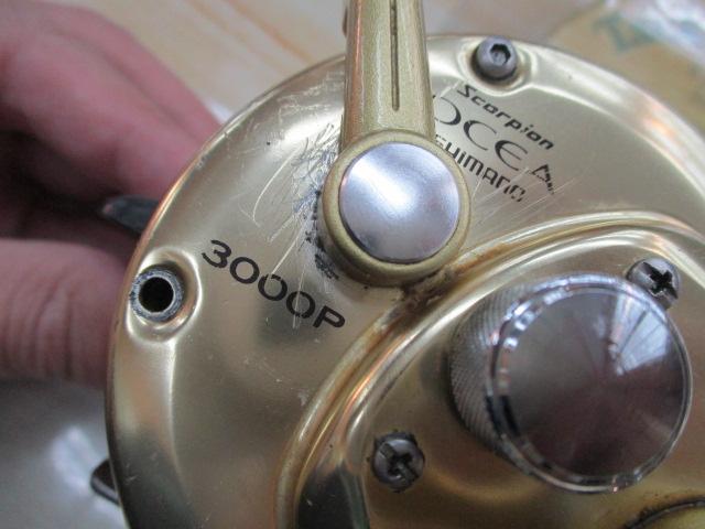 ｵｼｱｼﾞｶﾞｰ 3000P