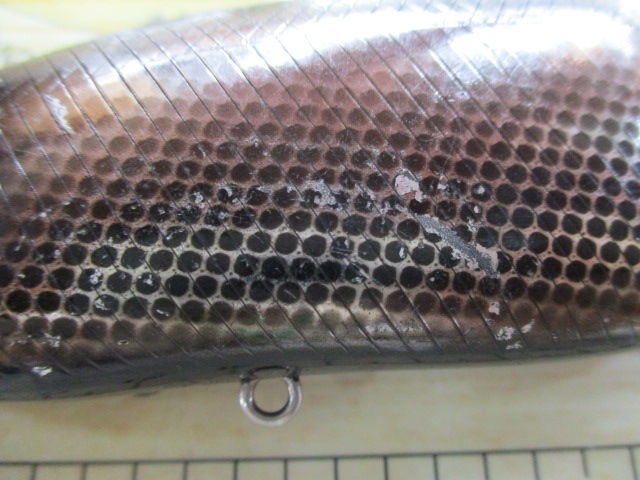 ﾀｲﾆｰｸﾗｯｼｭLOW