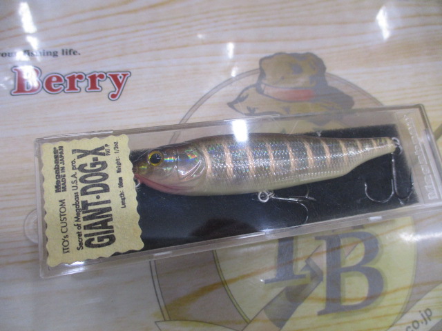 【セット商品】メガバスGIANT-DOG-Xセット⑥