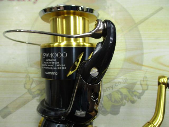 13ｽﾃﾗSW 4000XG