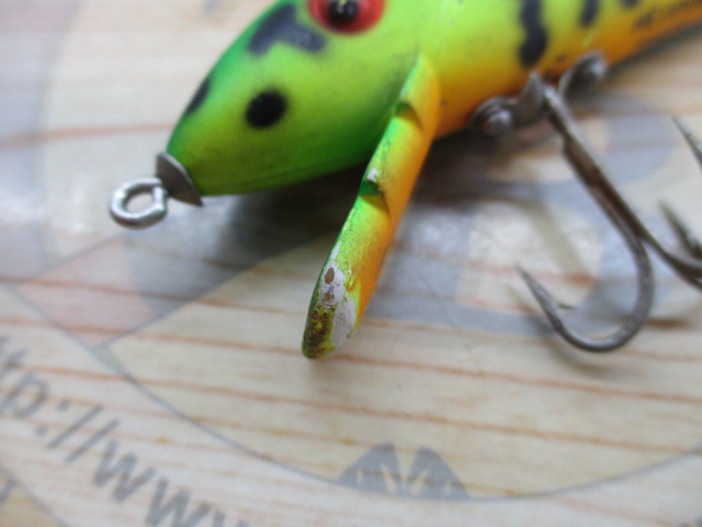 ﾍﾄﾞﾝ　ﾀｲｶﾞｰ