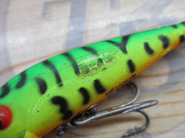 ﾍﾄﾞﾝ　ﾀｲｶﾞｰ