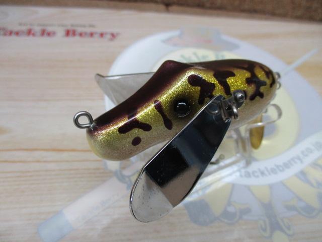 ダービーXコロラド