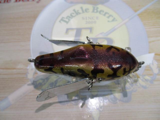 ダービーXコロラド