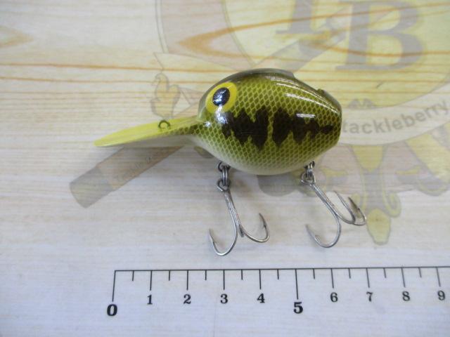 ﾀｲﾆｰﾀﾋﾞｰ