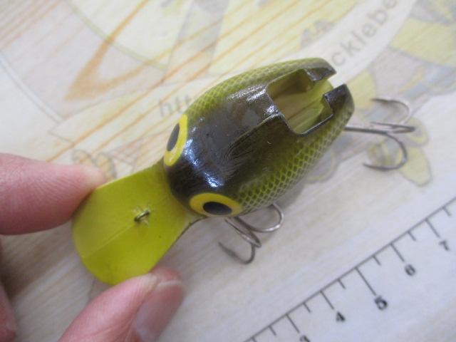 ﾀｲﾆｰﾀﾋﾞｰ