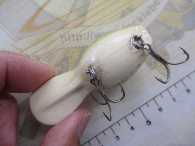 ﾀｲﾆｰﾀﾋﾞｰ