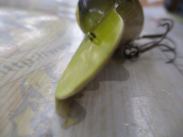 ﾀｲﾆｰﾀﾋﾞｰ