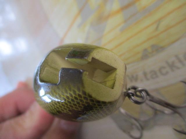 ﾀｲﾆｰﾀﾋﾞｰ