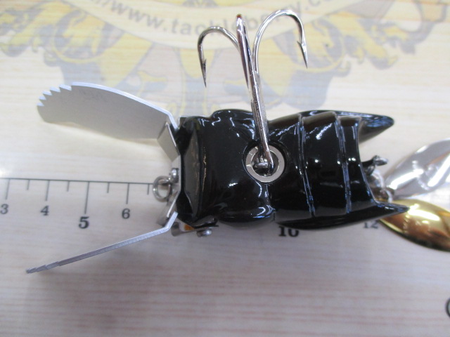 ｶﾞｯﾀX　ｶﾅﾌﾞﾝｶﾗｰ