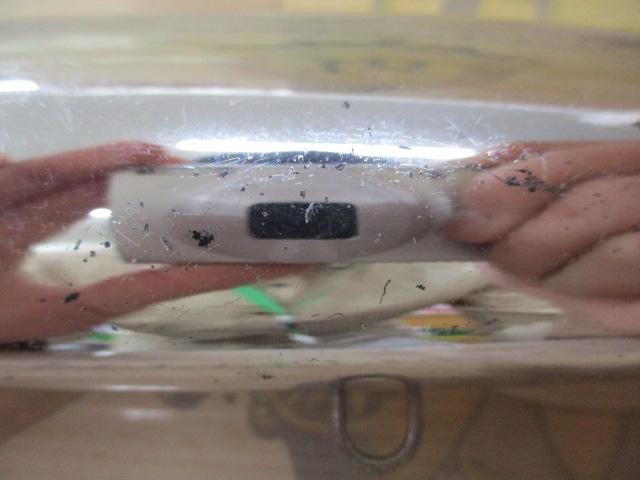 ﾎﾟｯﾌﾟｸｲｰﾝF200 Z001-T-1000