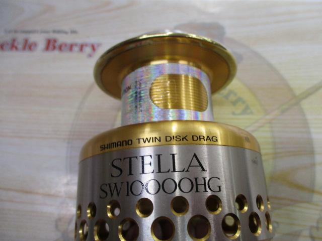 01ｽﾃﾗSW10000HGｽﾌﾟｰﾙ