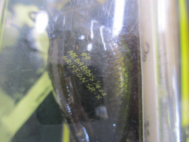 【セット商品】SR-Xグリフォン 3個セット⑱