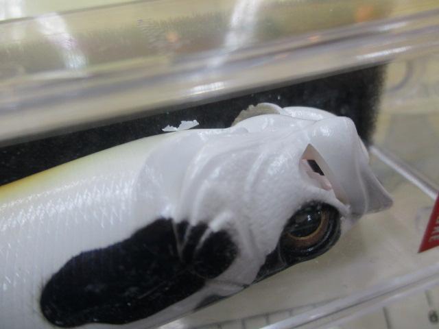 X-POD エックスポッド 2009年丑カラー