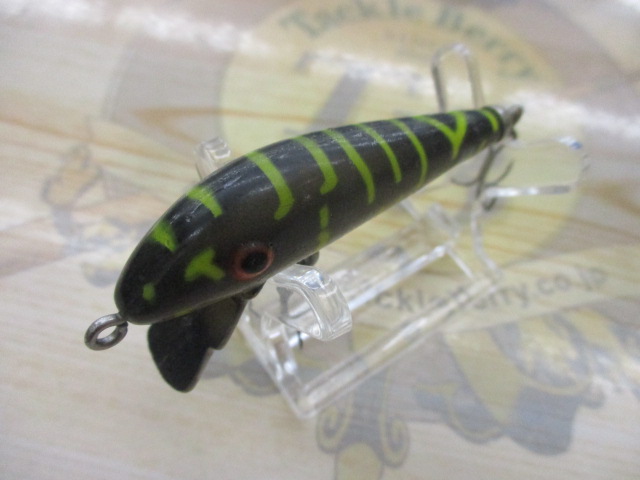 ﾍﾄﾞﾝﾀｲｶﾞｰ