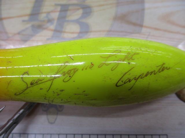 ｼｰﾌﾛｯｸﾞ110ﾗｲﾄ