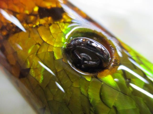 貝貼りﾎﾟｯﾊﾟｰ