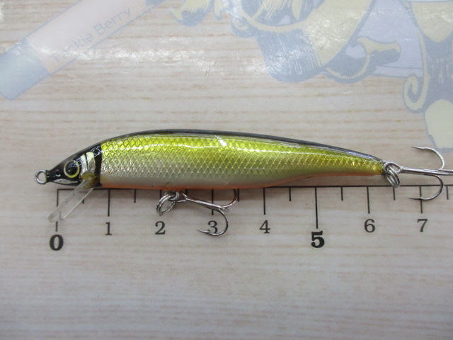 ﾊﾟｰﾑｽ ﾗﾋﾟｯﾄﾞ60S