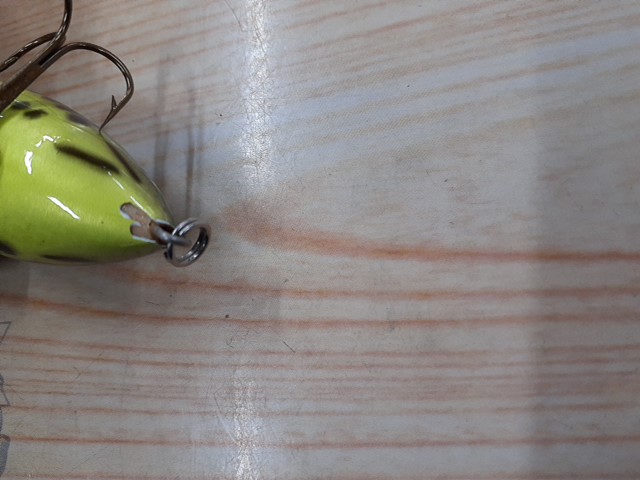 【ｾｯﾄ商品】ﾊﾞｸﾞﾘｰ ﾗｯﾄﾌｨﾝｸ 5個