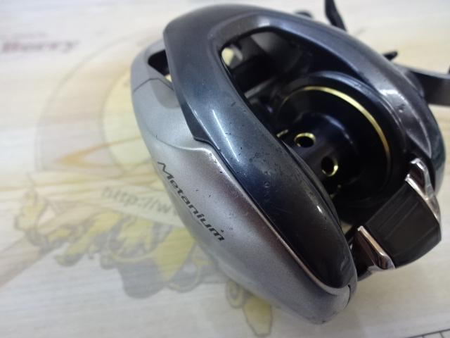 13ﾒﾀﾆｳﾑ (RH)