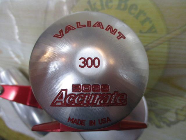 ﾎﾞｽｳﾞｧﾘｱﾝﾄ300