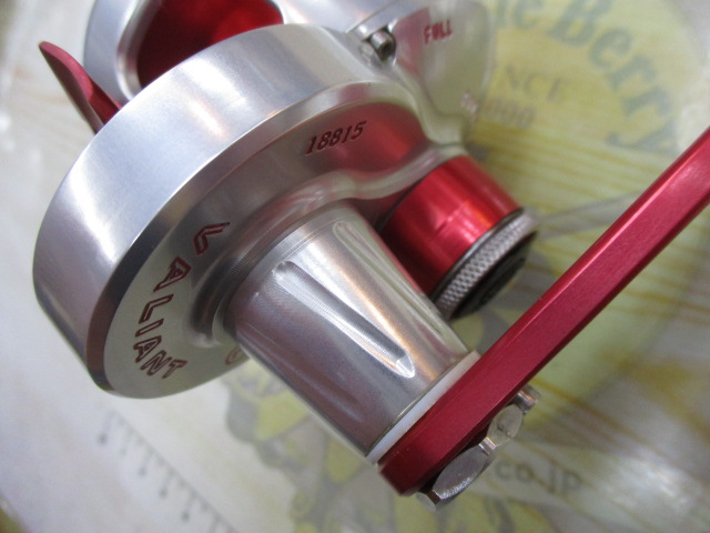 ﾎﾞｽｳﾞｧﾘｱﾝﾄ300