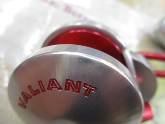 ﾎﾞｽｳﾞｧﾘｱﾝﾄ300