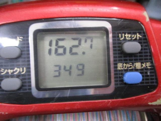 ｼｰﾎﾞｰｸﾞﾌﾞﾙ 1000