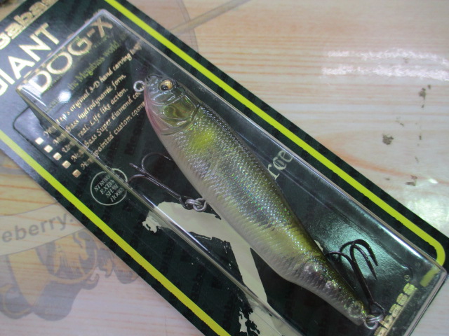 【ｾｯﾄ商品】GIANT DOX-X