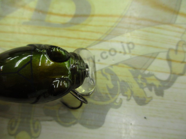 ﾒｶﾞﾊﾞｽ　ｸﾞﾘﾌｫﾝｾﾞﾛ　ｶﾅﾌﾞﾝ