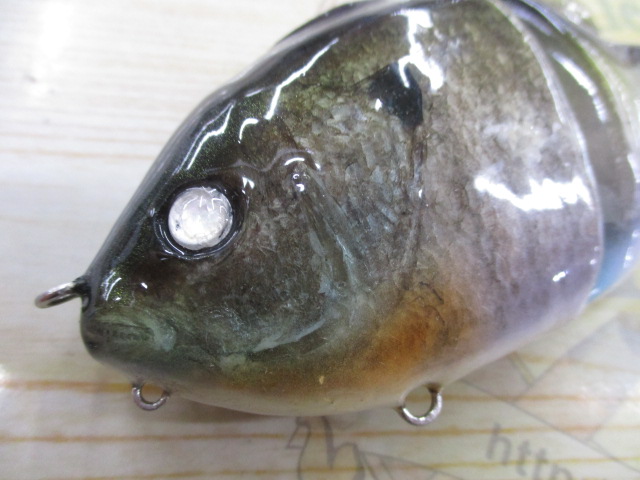 ｷﾞﾙﾛｲﾄﾞJr魚皮