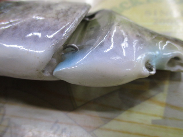 ｷﾞﾙﾛｲﾄﾞJr魚皮