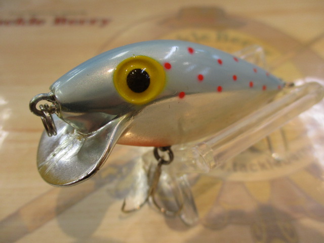 【ｾｯﾄ商品】ﾗﾄﾘﾝｽｨﾝﾌｨﾝｾｯﾄ