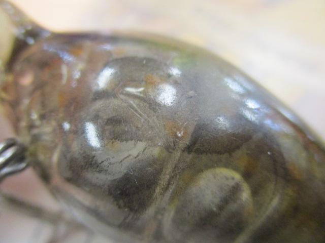 【ｾｯﾄ商品】ﾏｸﾞﾅﾑｳｨｸﾞﾙﾜｰﾄｾｯﾄ