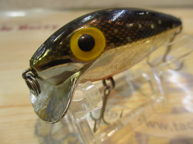 【ｾｯﾄ商品】ﾗﾄﾘﾝｽｳｨﾝﾌｨﾝｾｯﾄ