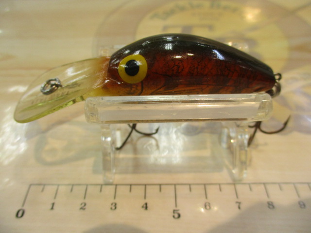 【ｾｯﾄ商品】ｳｨｸﾞﾙﾜｰﾄ･ﾌﾗｯﾄﾜｰﾄｾｯﾄ