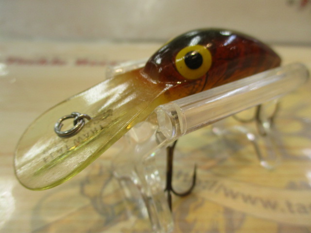 【ｾｯﾄ商品】ｳｨｸﾞﾙﾜｰﾄ･ﾌﾗｯﾄﾜｰﾄｾｯﾄ