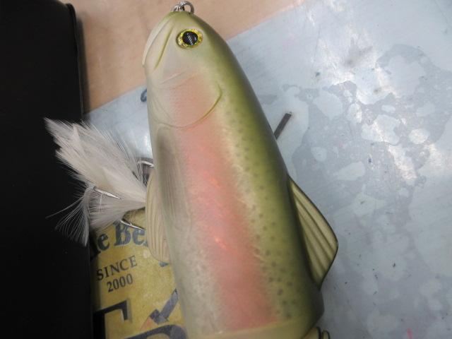 ｽﾗｲﾄﾞｽｲﾏｰ250#04ﾚｲﾝﾎﾞｰﾄﾗｳﾄ