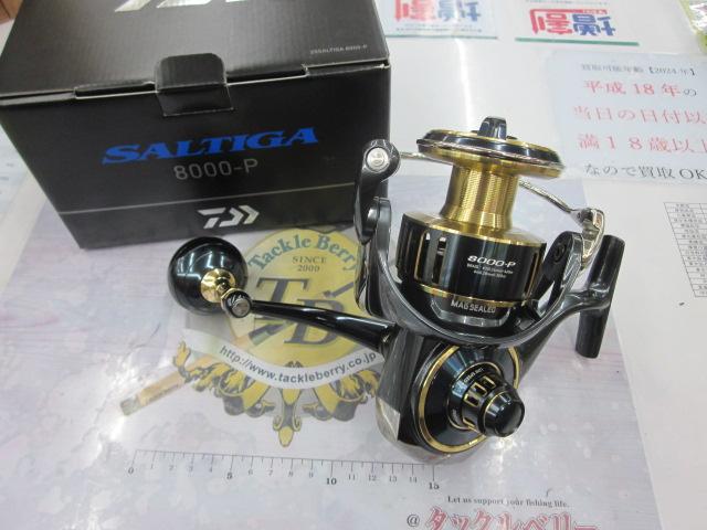 25ｿﾙﾃｨｶﾞ 8000-P