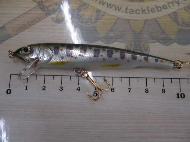 ｳｯﾄﾞﾍﾞｲﾄ