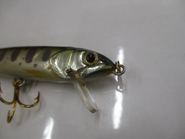 ｳｯﾄﾞﾍﾞｲﾄ