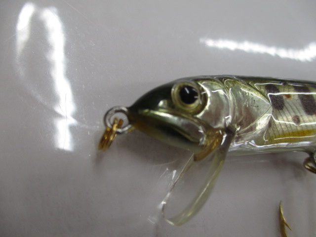 ｳｯﾄﾞﾍﾞｲﾄ