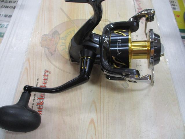 13ｽﾃﾗSW 8000HG