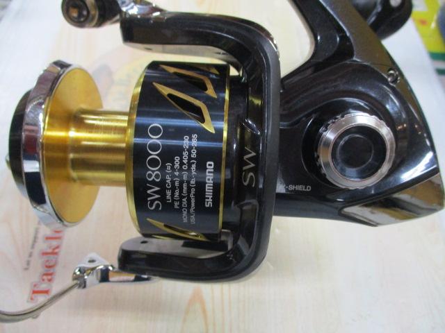 13ｽﾃﾗSW 8000HG