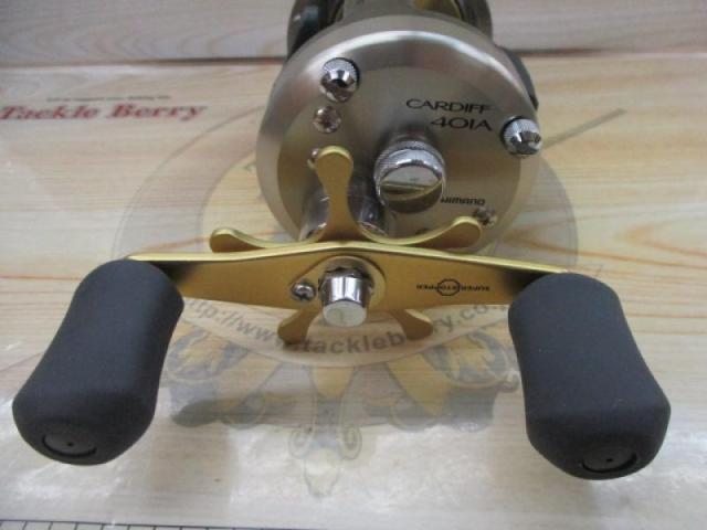 ｶｰﾃﾞｨﾌ401A