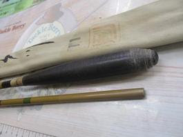 江戸川英仙11号