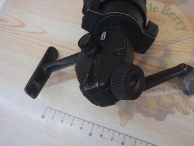 ｶｰﾃﾞｨﾅﾙ C3