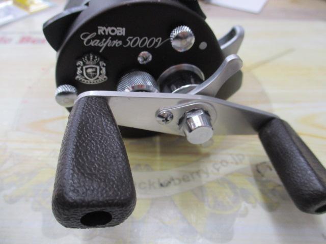 ｷｬｽﾌﾟﾛ5000V