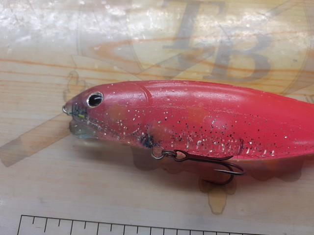 ｲｰﾋﾞﾙｼｬｯﾄﾞ